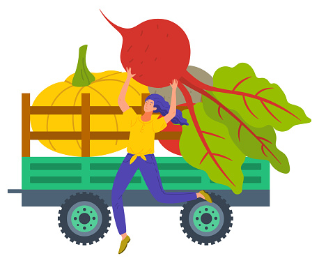 Harvesting woman throwing organic products on truck vector. Isolated farmer with beetroot and pumpkin, female character working on farm flat style