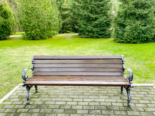 istock Wooden bench on walkway in park 1255331180