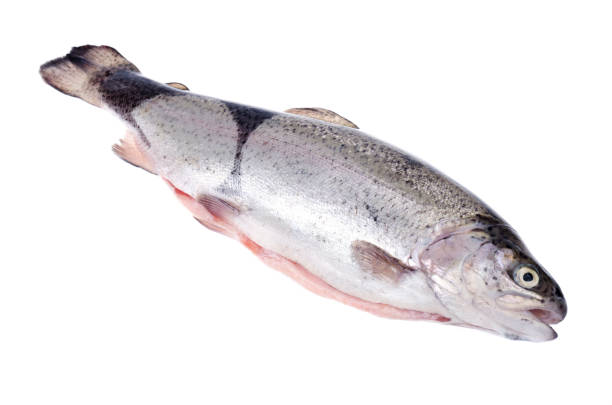 istock Rainbow trout peeled for cooking fish dishes on white background. 1255332409