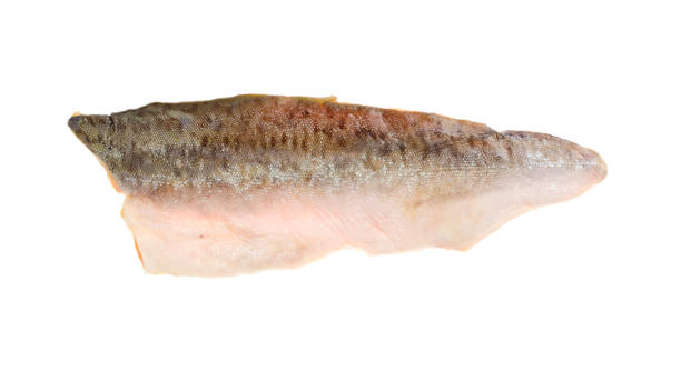 istock Frozen salmon filet isolated on white background. S 1255332615