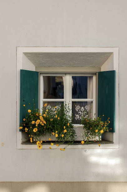 pequeña ventana con flores amarillas - maloja pueblo engadina suiza - engadine rustic window frame window sill fotografías e imágenes de stock