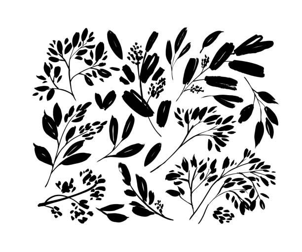 小さな葉の植物枝黒いペイントベクトルイラストセット。黒いシルエットの葉と小枝のセット。 - 5141点のイラスト素材／クリップアート素材／マンガ素材／アイコン素材