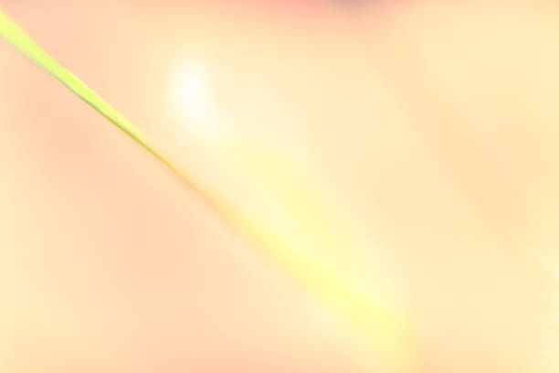istock Soft, defocused and dynamic abstract. Fresh and natural texture and pattern background of a plant. 1255337836