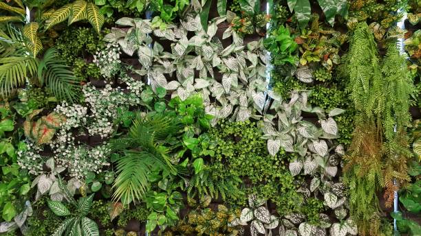 istock Vertical garden with various species of artificial trees. 1255339201
