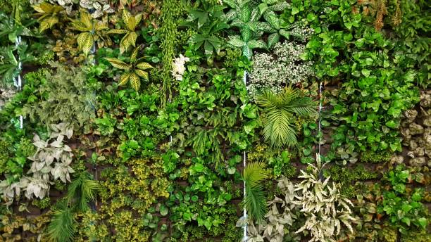 istock Vertical garden with various species of artificial trees. 1255339716