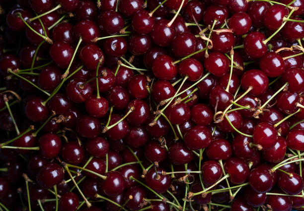 istock Background of ripe bulk cherries 1255343333