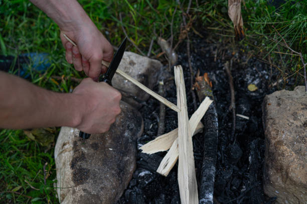 istock Making a campfire with wood shavings 1255344288