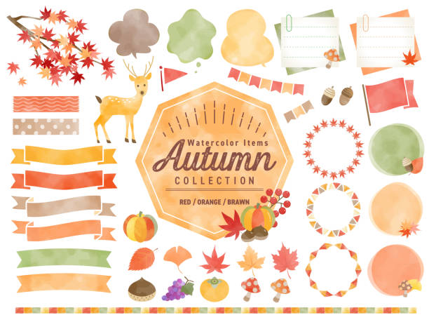 ilustrações de stock, clip art, desenhos animados e ícones de set of watercolored seasonal autumn frames / maple , red leaves, pumpkin / for labels, badges, icons, banners etc. - outono ilustrações