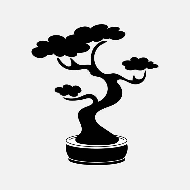 Black contour tree illustration icon. Bonsai japanese traditional tree. Black logo. Vector Black contour tree illustration icon. Bonsai japanese traditional tree. Black logo. Vector eps 10 bonsai tree stock illustrations