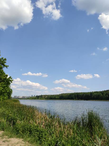 istock beautiful lake in the summer forest 1255348051