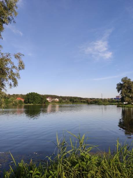 istock beautiful lake in the summer forest 1255349206