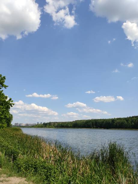 istock beautiful lake in the summer forest 1255349458