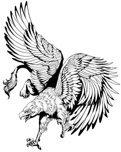 Vector illustration of flying griffin or griffon. Black and white