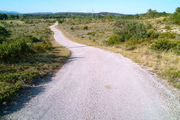 istock Landscape of Provence 1255351999