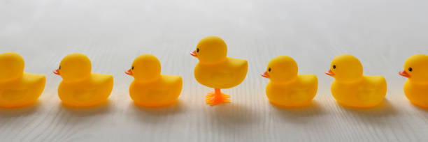 One different yellow rubber duck standing on legs in a line of normal yellow rubber ducks, set on a white wood grained background.background.