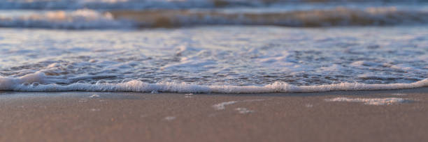 istock sea foam on the shore, sunset on the background, blurry background 1255356809