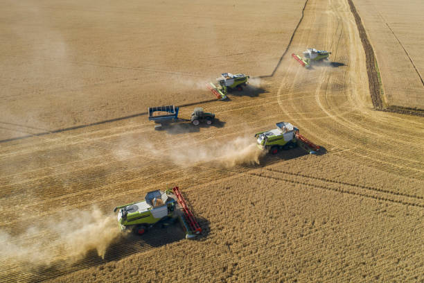 istock Harvesting In Agriculture Crop Field. 1255358616