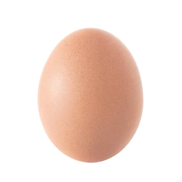 Single brown chicken egg. Close up of an chicken egg isolated on white background.