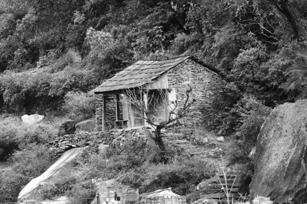 форест хат - shed cottage hut barn стоковые фото и изображения