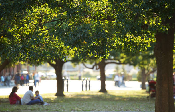 istock Park of the day when it was fine 1255365234