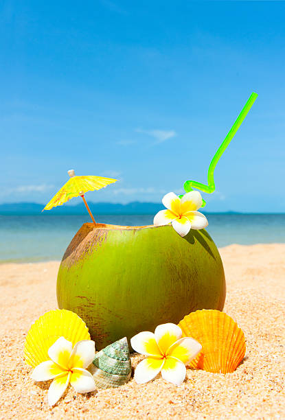 istock Oceand beach and exotic coctail 125536784
