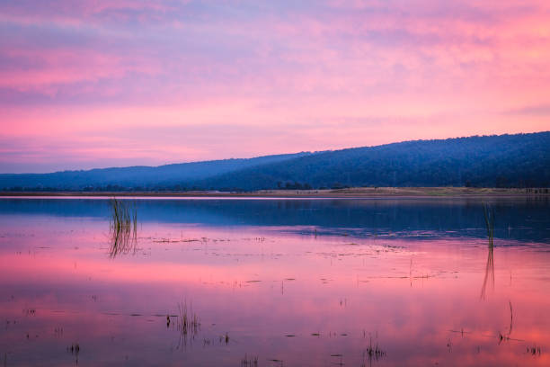 istock Pink and blue colours on the tranquil lake at sunset 1255368439