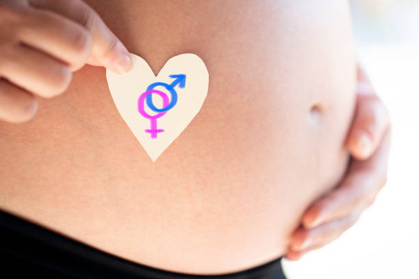 happy pregnant woman - abdomen gynecological examination women loving imagens e fotografias de stock