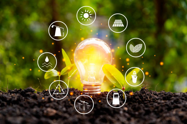 Lighting bulbs and growing seedlings. energy resources icon. Earth day Lighting bulbs and growing seedlings. energy resources icon. Earth day. Energy saving concept, Renewable energy and energy sources of the world environmental social corporate governance esg stock pictures, royalty-free photos & images