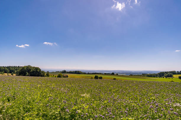 istock Along the panorama path in Heiligenberg 1255371315