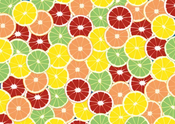 Vector illustration of Lemon, melon, lime, orange, kiwi and blood orange