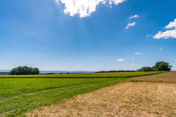 istock Along the panorama path in Heiligenberg 1255375716