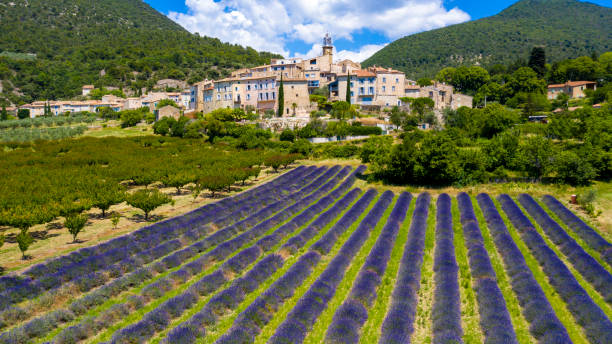 Provence in France, lavender field and village of Grigan Provence in France, lavender field and village of Grigan drome stock pictures, royalty-free photos & images