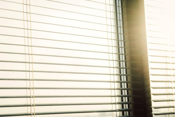 istock Modern plastic Shutter Jalousie in a room with sunlight 1255376658