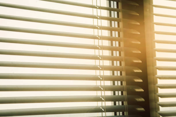 istock Modern plastic Shutter Jalousie in a room with sunlight 1255376661