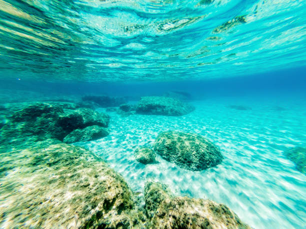 istock White sand and turquoise water in Alghero shore 1255377964