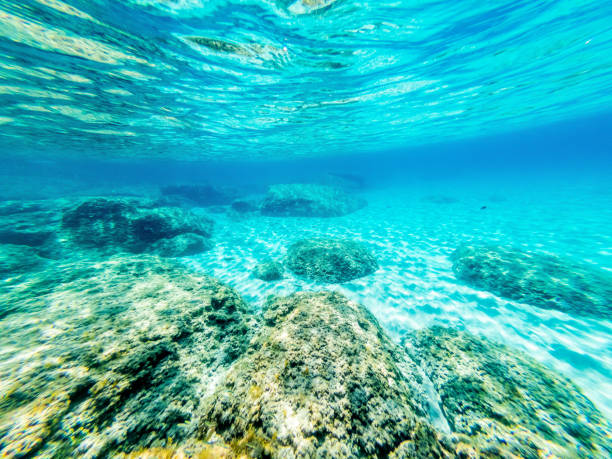 istock Underwater view of Alghero turquoise sea 1255377977