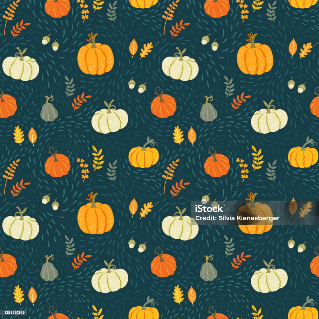 Cute Hand Drawn Pumpkin Seamless Pattern Hand Drawn Pumpkins Great As  Thanksgiving Background Textiles Banners Wallpapers Wrapping Vector Design  Stock Illustration - Download Image Now - iStock