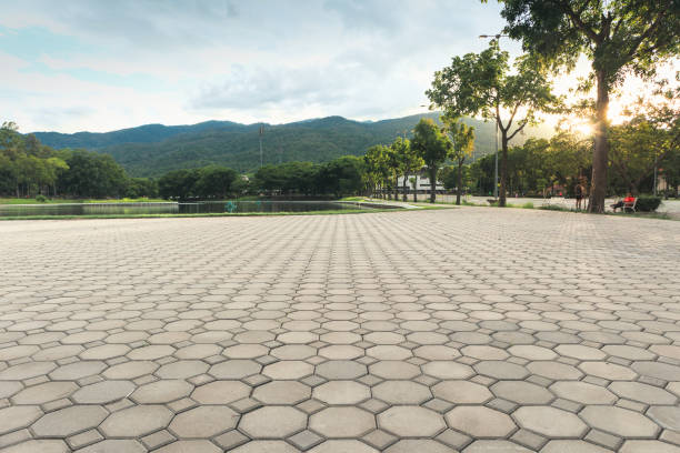 paver floor in perspective view in public park with nature background. - paving stone cobblestone road old imagens e fotografias de stock