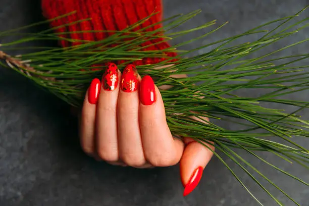 Woman hand with Christmas stylish red manicure holding fir-tree branch.