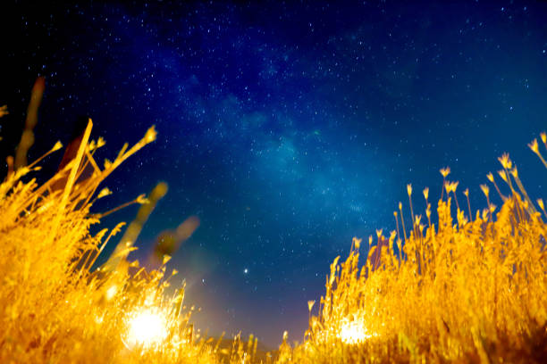 Part of Milky Way - night view.