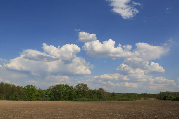 istock plowed agricultural field under beautiful spring sky 1255388958