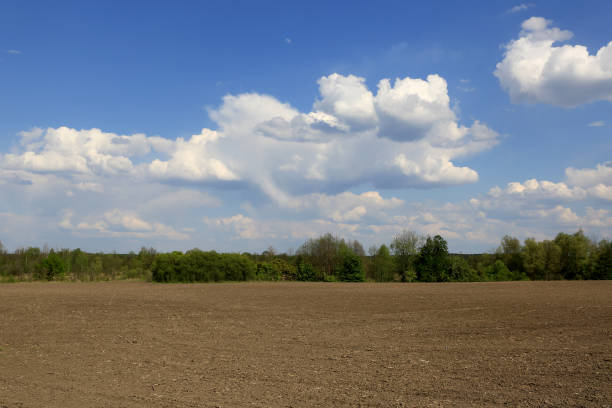 istock Plowed agricultural field under 1255388978