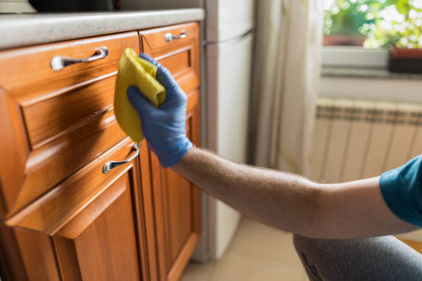 istock Man disinfecting the house 1255390957