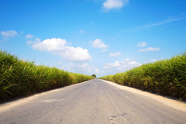 Country road on field