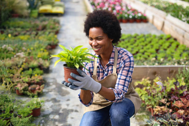 istock Woman working in a garden center 1255391260