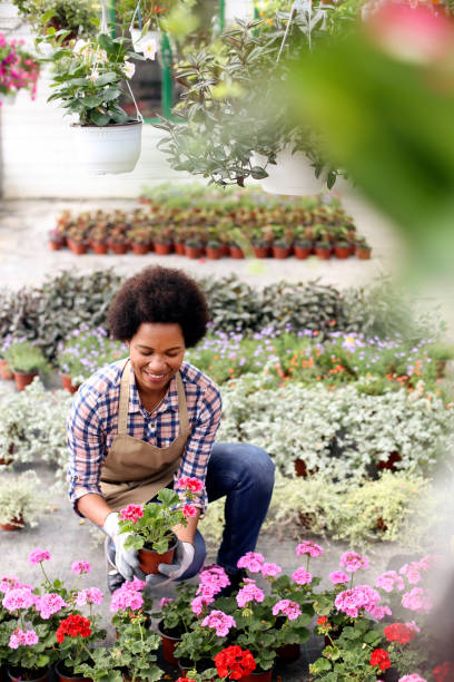 istock African woman working in a greenhouse 1255391375