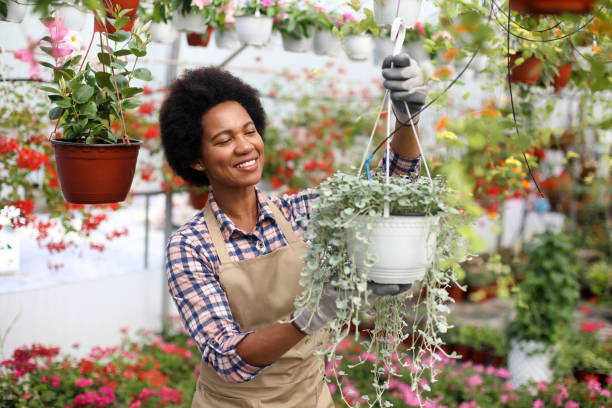 istock Woman hanging a flower pot 1255391482