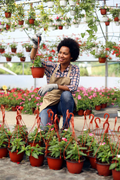 istock Florist working in a plant nursery 1255391505