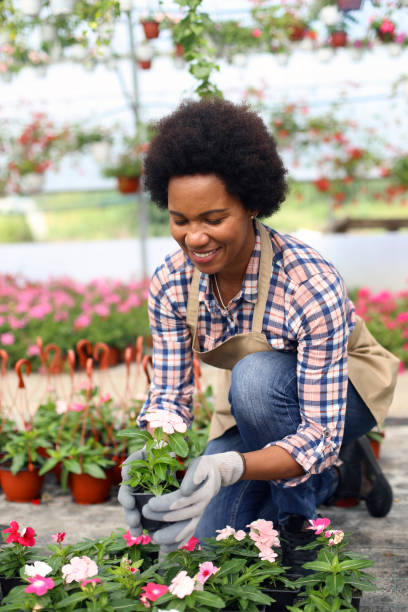 istock African woman working in a garden center 1255391561