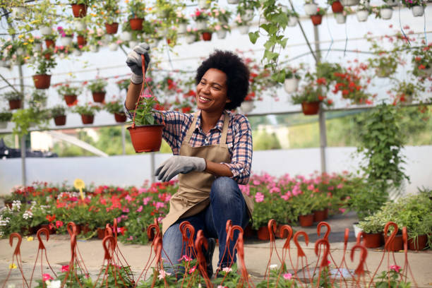 istock African woman working in a greenhouse 1255391579